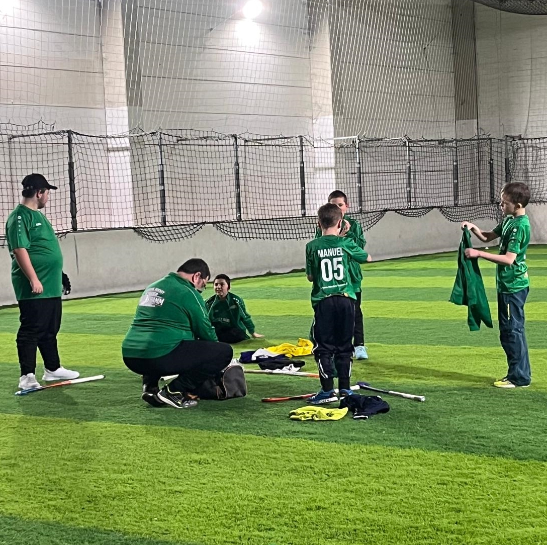 HS HAMM Training